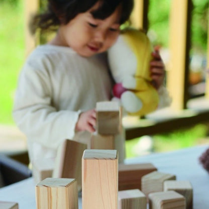 Wooden Block spiel & Holz Natural 38 pieces