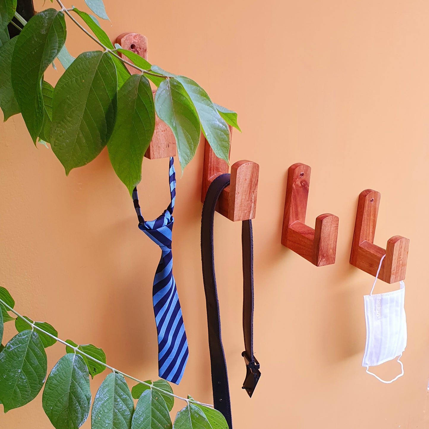 Wooden Hanging Hooks (5Pieces)