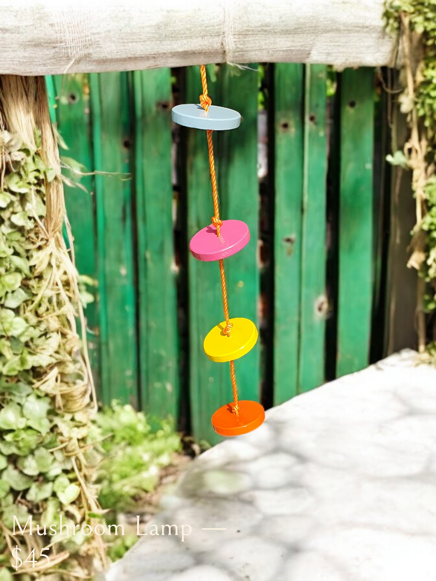 Wooden Circle Ladder & Swing